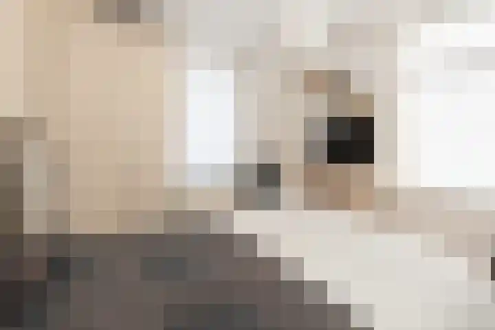 Meidoornstraat 5 Epe thumbnail 17