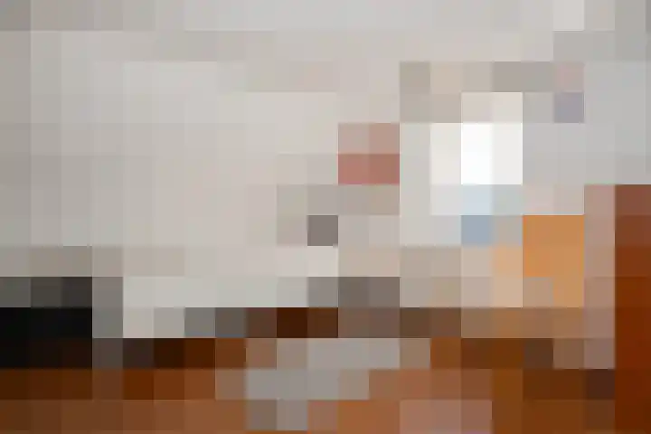 Meidoornstraat 5 Epe thumbnail 23