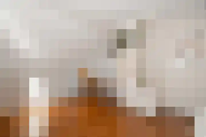 Meidoornstraat 5 Epe thumbnail 24