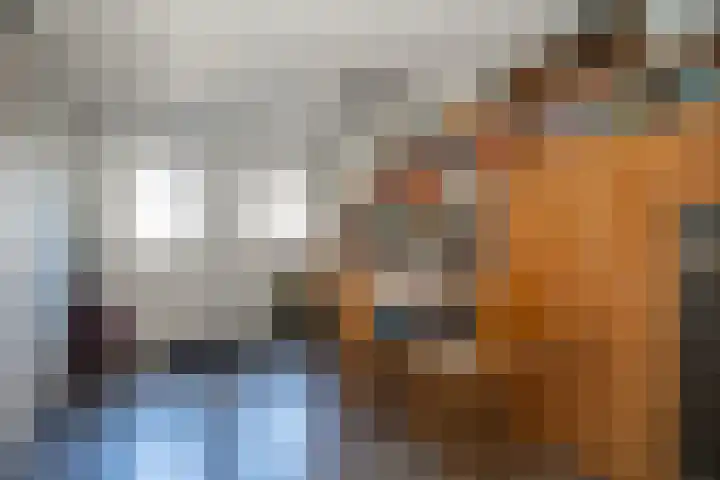 Meidoornstraat 5 Epe thumbnail 26