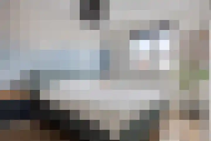 Meienshovel 28 Bergeijk thumbnail 11