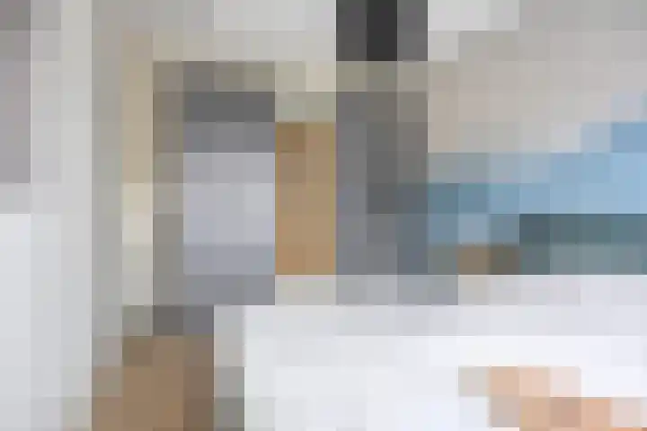 Meienshovel 28 Bergeijk thumbnail 12