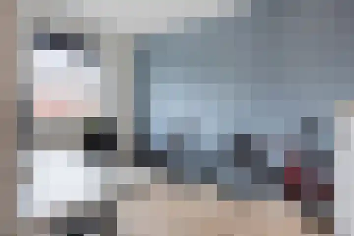 Meienshovel 28 Bergeijk thumbnail 13