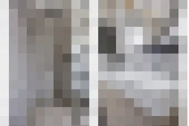 Meienshovel 28 Bergeijk thumbnail 17
