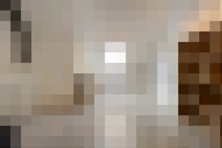 Meienshovel 28 Bergeijk thumbnail 18