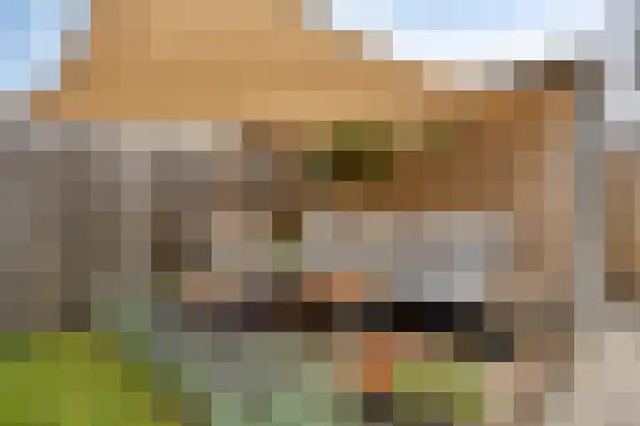 Meienshovel 28 Bergeijk thumbnail 21