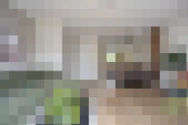 Meienshovel 28 Bergeijk thumbnail 5