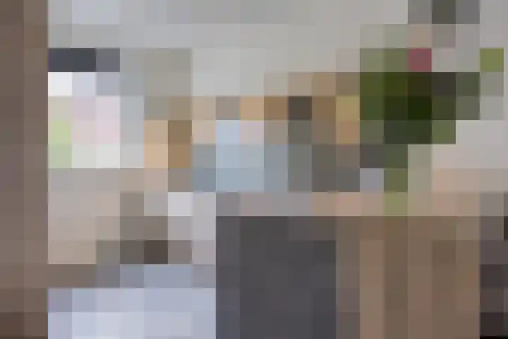 Meienshovel 28 Bergeijk thumbnail 7