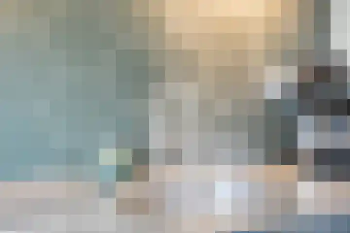 Meienshovel 28 Bergeijk thumbnail 9