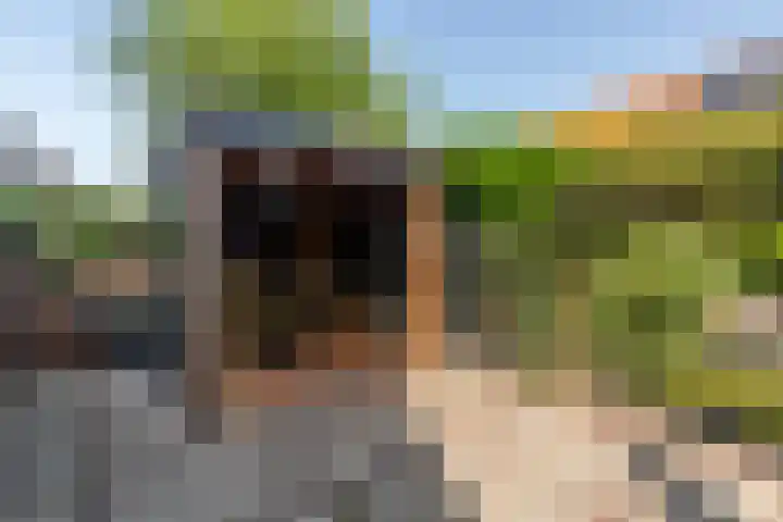 Meierijlaan 38 Den Haag thumbnail 21