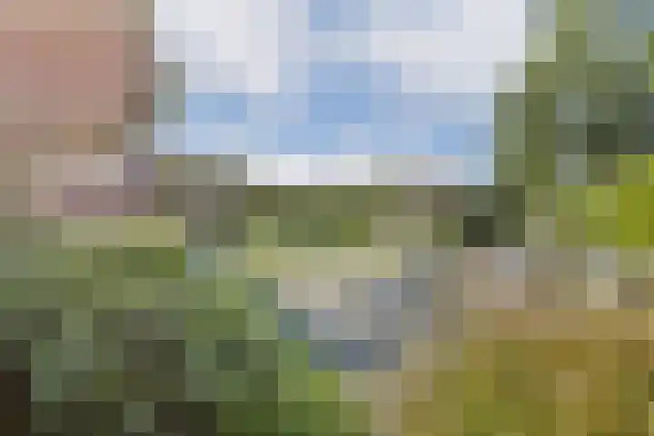 Meije 101 Bodegraven thumbnail 11