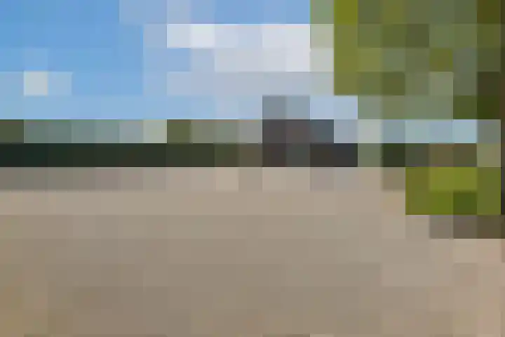 Meije 101 Bodegraven thumbnail 13