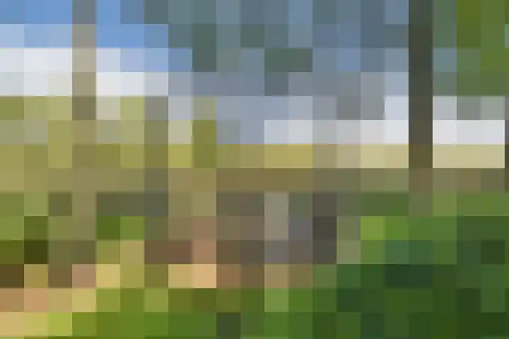 Meije 101 Bodegraven thumbnail 14