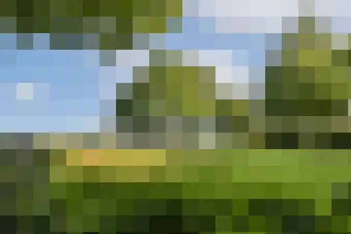Meije 101 Bodegraven thumbnail 15