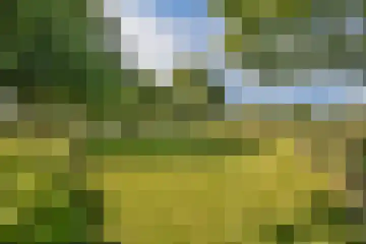 Meije 101 Bodegraven thumbnail 16