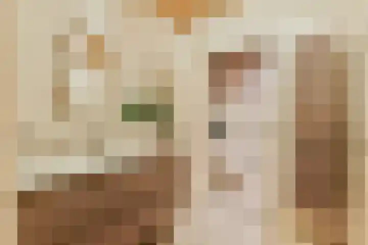 Meije 101 Bodegraven thumbnail 18