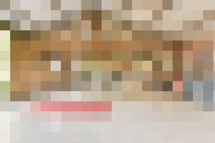 Meije 101 Bodegraven thumbnail 19