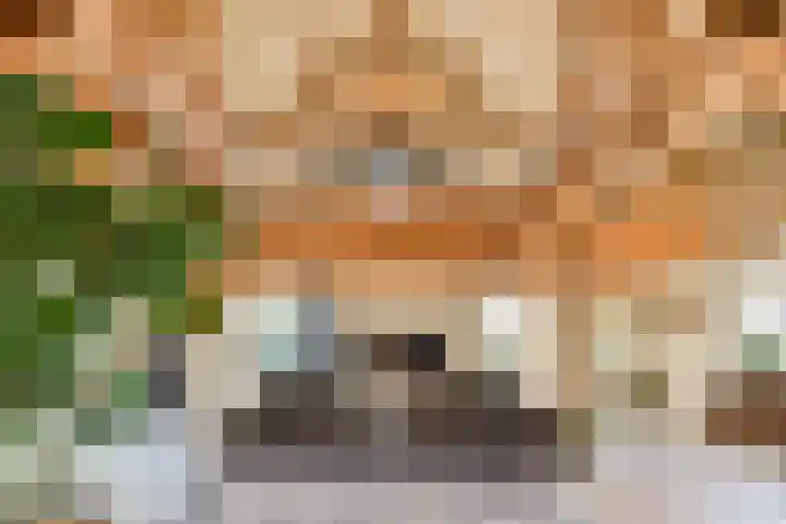 Meije 101 Bodegraven foto 2