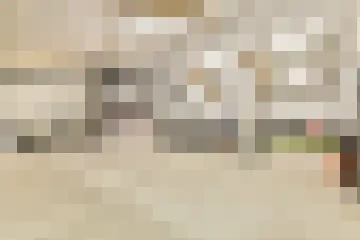 Meije 101 Bodegraven thumbnail 21