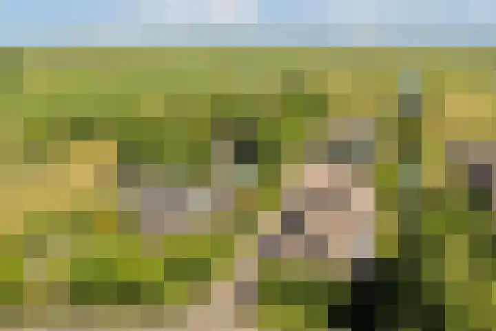 Meije 101 Bodegraven thumbnail 23