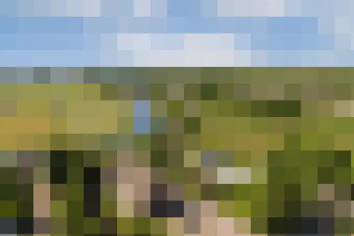 Meije 101 Bodegraven thumbnail 24