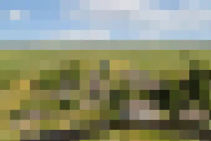 Meije 101 Bodegraven thumbnail 25