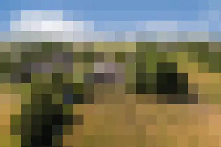 Meije 101 Bodegraven thumbnail 26