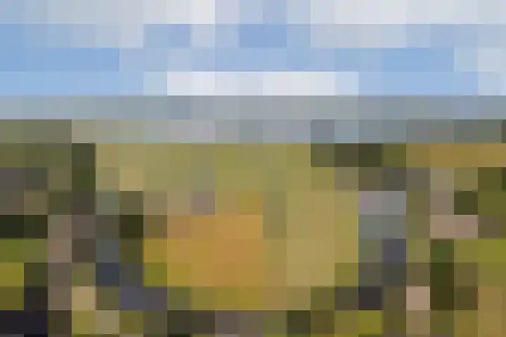 Meije 101 Bodegraven thumbnail 27