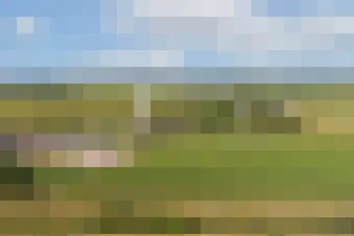 Meije 101 Bodegraven thumbnail 28