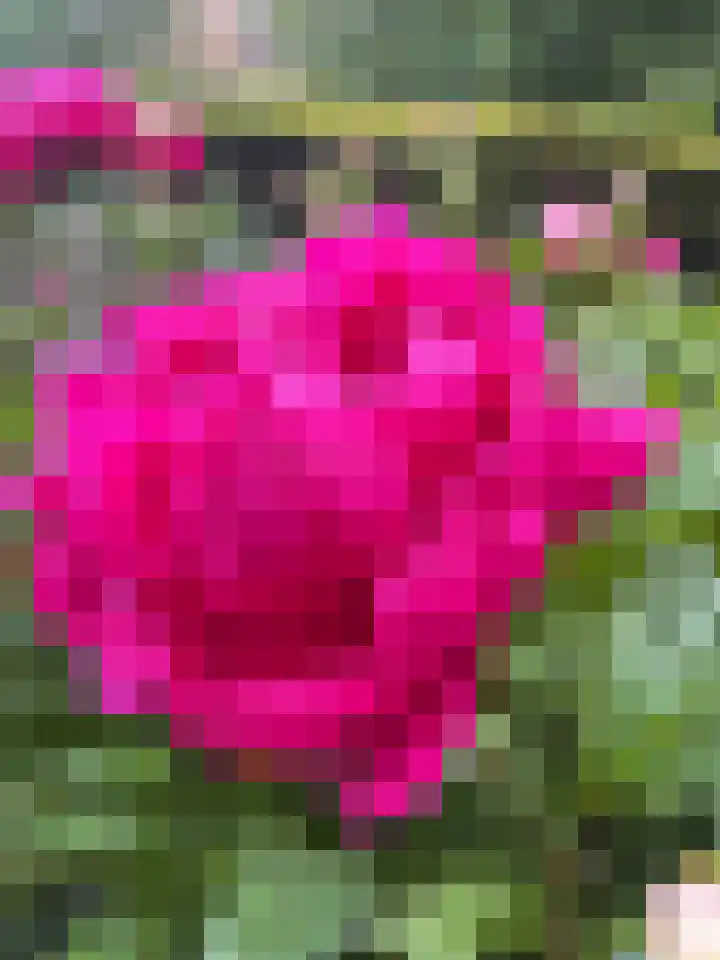Meije 101 Bodegraven thumbnail 29
