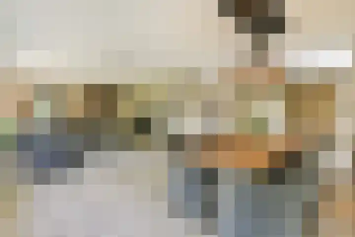 Meije 101 Bodegraven foto 3