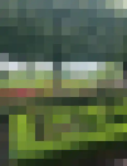 Meije 101 Bodegraven thumbnail 30