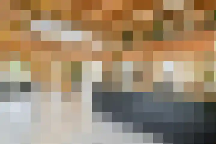 Meije 101 Bodegraven thumbnail 5