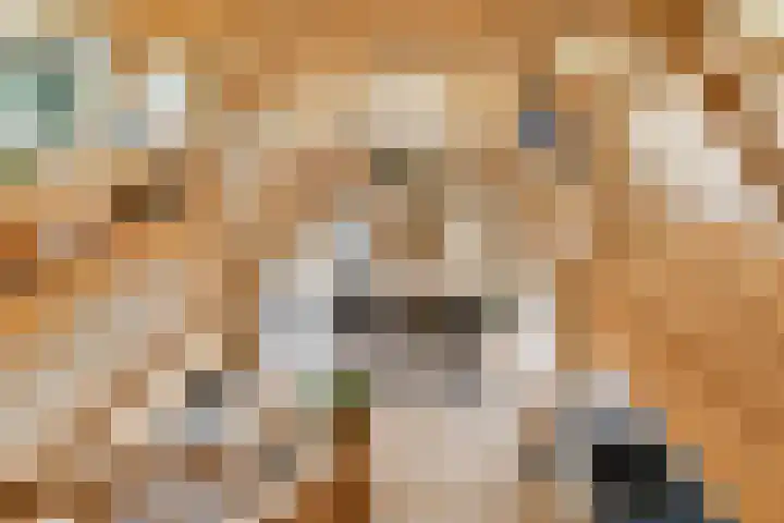 Meije 101 Bodegraven thumbnail 7
