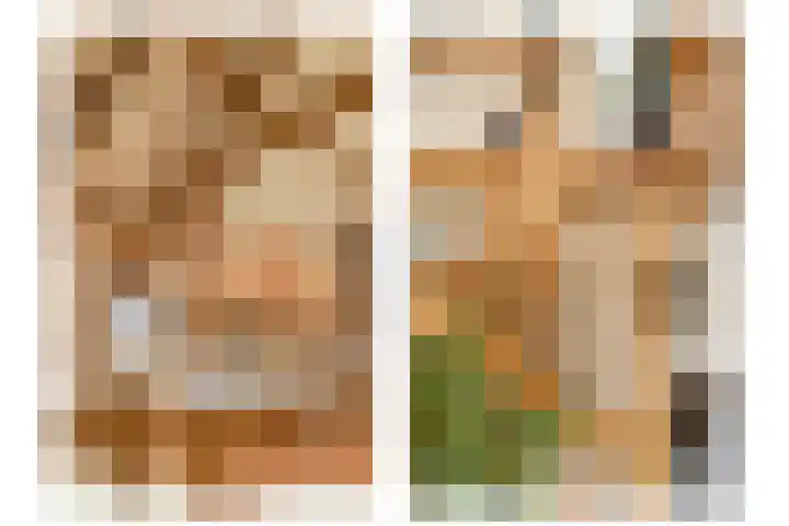 Meije 101 Bodegraven thumbnail 8