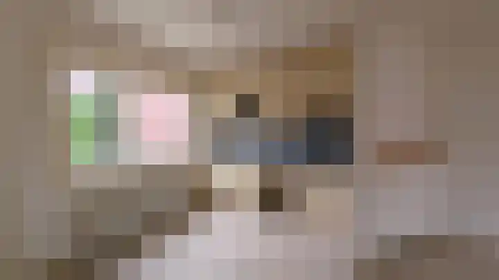 Meijelaan 10 Leiderdorp thumbnail 7