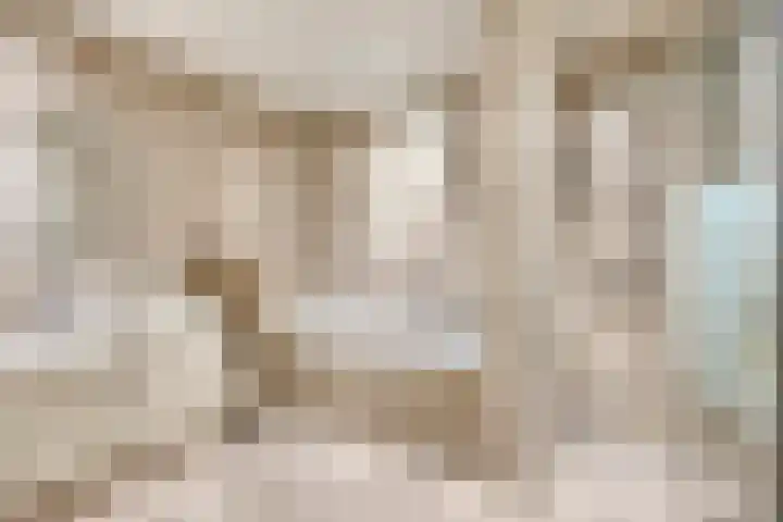 Meijelseweg 34 Beringe thumbnail 27