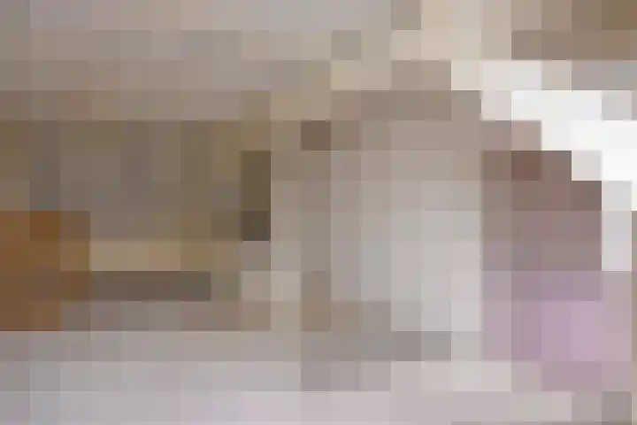 Meijelseweg 34 Beringe thumbnail 31
