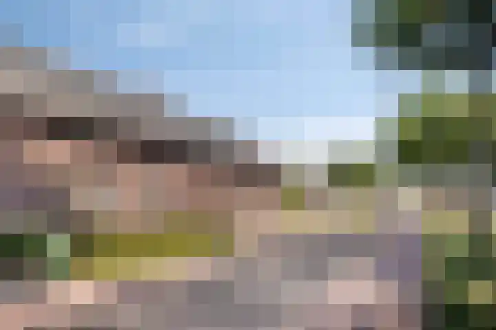 Meijelseweg 34 Beringe thumbnail 4