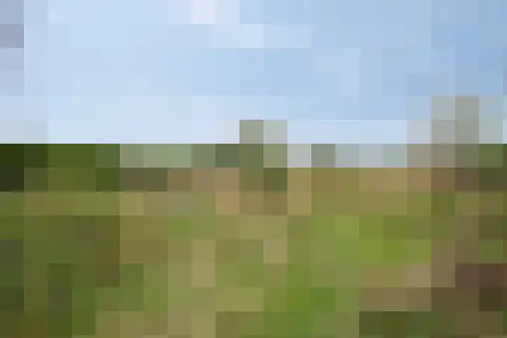 Meijelseweg 34 Beringe thumbnail 42