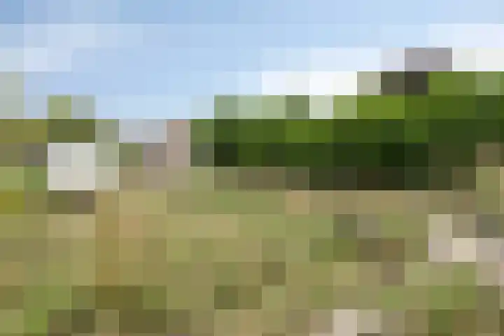 Meijelseweg 34 Beringe thumbnail 44