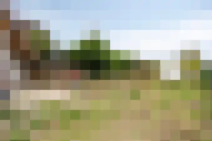 Meijelseweg 34 Beringe thumbnail 45
