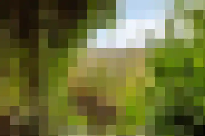 Meijelseweg 34 Beringe thumbnail 49