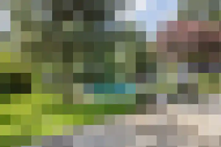 Meijelseweg 65 Beringe thumbnail 35