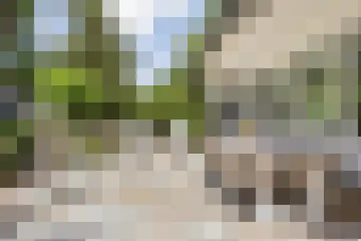 Meijelseweg 65 Beringe thumbnail 36
