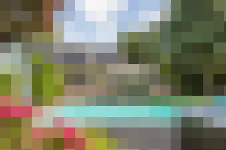 Meijelseweg 65 Beringe thumbnail 38