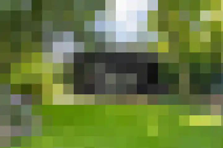 Meijelseweg 65 Beringe thumbnail 41