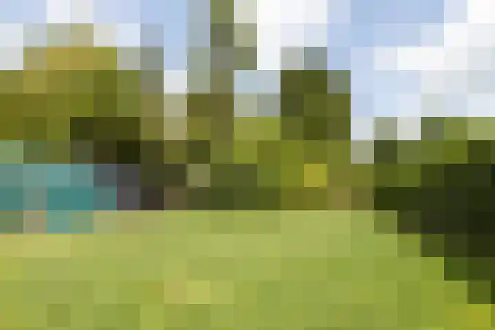 Meijelseweg 65 Beringe thumbnail 47