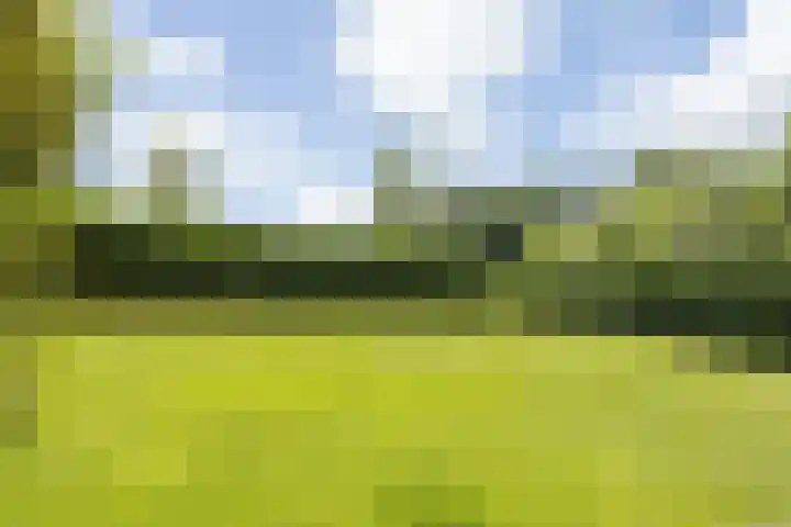 Meijelseweg 65 Beringe thumbnail 48