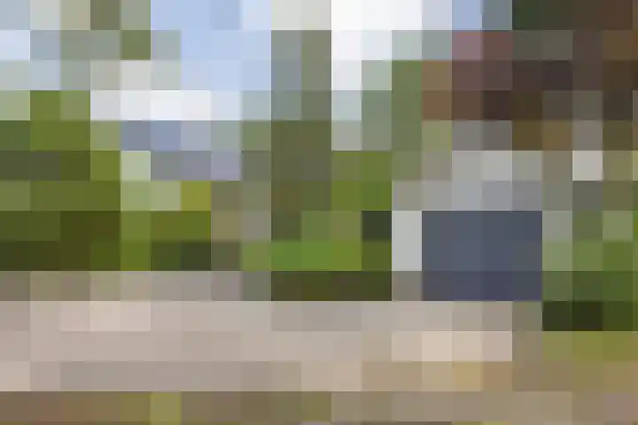 Meijelseweg 65 Beringe thumbnail 49
